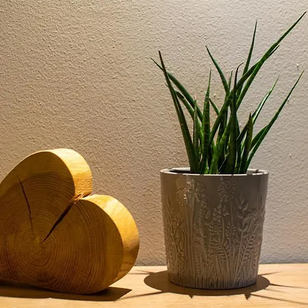 Weinzeit Apartament *